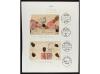 Lot 3266
