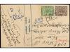 Lot 3305
