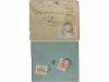 ✉ IRAN. 1911-21 issue. Ninetten registered internal covers, 