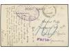 Lot 2667
