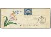 Lot 2309