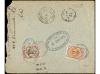 Lot 2824