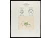 ✉ NEPAL. 1907-41. Ten covers with 4 pies stamps from the 190