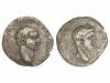 Lot 251