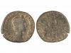 Lot 2264
