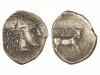 Lote 51