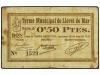 Lote 8067
