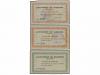 Lote 8434