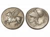Lote 24