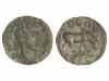 Lot 2564