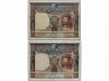 Lot 5253