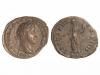 Lot 2461