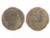 Lot 2289