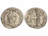Lot 2537