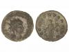 Lot 2565