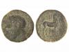 Lote 3163