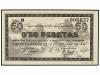 Lote 8173