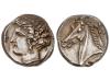 Lote 11