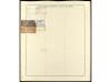 DOCUMENTOS y VARIOS. Acción 250 Pesetas. 1 Enero 1891. SOCIE