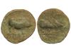 Lote 1067