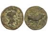 Lote 1051