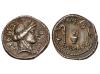 Lote 82