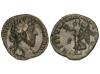 Lote 1137