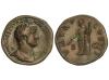 Lote 1131