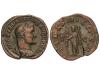 Lote 1145