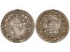 Lote 591