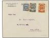 Lot 1919