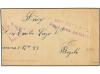 Lot 1916