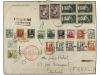 Lot 704