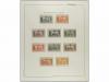 Lot 205