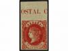 Lote 47