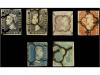 Lot 24