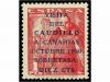 Lot 703