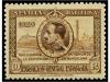Lot 523