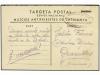 Lote 1170