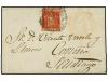 Lote 109