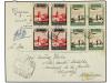 Lot 1449