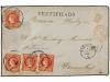 Lote 85