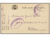 Lot 1260