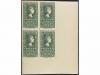 Lot 1101