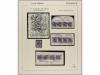 Lot 706