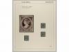 Lot 705