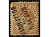 Lot 310