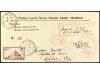 Lote 1359