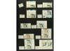 ** ESPAÑA. Ed. 2989. MARÍA DE MAEZTU. 20 pts. multicolor. Co