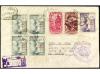 Lote 1181